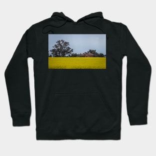 Canola Harvest Hoodie